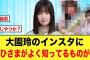 【ひなあいのアレ】櫻坂46大園玲のインスタで、おひさまから既視感があるものが見つかる【日向坂46】