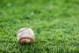 プロ野球2000本安打達成者って