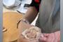 石川佳純さんが焼売を作る手つきwwwwwwwwwwwwwww（画像あり）