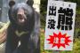 【悲報】人間さん、猟友会にブチギレｗ　「熊相手に武器を使うのは卑怯！素手で闘え！！」