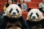 中国人「”君の名は”の三葉は本当に勇敢だった」　中国人「鈴芽の方がもっと勇敢」「つまりは愛だ」
