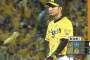 ベイスターズ０－３阪神タイガース　何度かチャンスを作るもあと1本が出ない