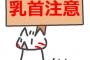 【画像あり】こんなに頑張っても巨乳になれない、、、