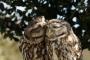 大自然の中でキスを交わしているリア獣を激写！！