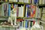 行ってみたい!!猫が店員をしている本屋さんの写真