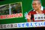【速報】電柱の数、3340万本