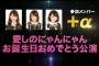 【AKB48】「愛しのにゃんにゃん公演」に選ばれるこじはる推しのメンバーって誰？【小嶋陽菜】