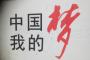 中国人「中国人のいまの夢は、日本人が何十年も前にすでに実現していると思う」「は？日本滅びたの？」