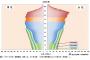 2060年の日本の人口ｗｗｗｗｗｗｗｗｗｗｗ