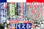 【悲報】高城亜樹だけではなく宮澤佐江も文春の餌食にｗｗｗｗｗｗ