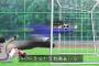 なぜ高校サッカーは盛り上がらないのか？