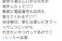 【速報】8.6秒バズーカのはまやねん、終わる