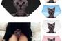 【朗報】最強のﾊﾟﾝﾁﾗ対策が発見されるｗｗｗｗｗｗｗｗw（画像あり）