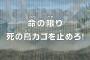 【ワンピース】アニメ 731話 「命の限り　死の鳥カゴを止めろ！ 」