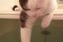猫、お湯のあまりの気持ちよさに寝てしまう