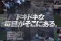 動画　スカパー！のプロ野球12球団CMがコチラｗｗｗｗｗｗｗｗｗｗｗｗｗｗｗｗｗｗｗ