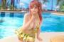 【DOAX3】PS4版デッドオアアライブエクストリーム3にてセーブデータが破損する現象