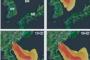 韓国人「もし白頭山が噴火するとどうなるのですか？」→「火山灰の多くは日本に飛んで行きます」　韓国の反応