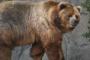 TBSのカメラの目の前で、ヒグマに襲われて生きたまま喰われたあの事件ってもう20年前なんだな