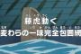 【ワンピース】アニメ 740話 「藤虎動く麦わらの一味完全包囲網」