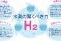 【朗報】騙されたと思って1ヶ月水素水飲んだ結果www