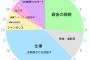 【乃木坂46】「46時間TV」俺達の予定作ってみたｗｗｗ