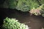 【事故】 宮城県大衡村の沼に転落で釣りの親子3人が死亡…過去にも死亡事故が…（画像あり）