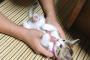 かわいこちゃんを弄んでるうちに相手が眠くなってきたパターンｗｗｗｗｗｗｗ