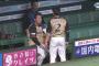 【朗報】日ハムベンチ、楽しそう