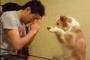 海外「まるで日本人のような、礼儀正しい犬をご覧くださいｗｗｗｗｗｗｗ」