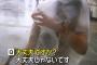 全身ポリ袋で台風の中を歩く女がインタビューされるｗｗｗｗｗｗｗ