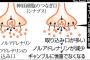 母がギャンブルにドはまりして生活費全てつぎ込むようになった！→その後の家庭は大荒れで生きた心地がしなかった・・・