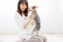 【画像】“自分の飼い主”になってほしい独身女優ランキングがこちらｗｗｗｗｗｗｗｗｗ