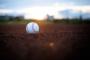 プロ野球ドラフトで指名されなかったけど質問ある？