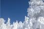 レポーター「雪ですッッッ雪ッッッ！！！地面はシャーベット状の雪がッッッ東京ッッッ東京終了ッッッ！！！」