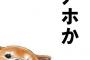 会う度にトメ「母にゅうしか飲ませてないの？」→何度言えば…