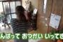 【日本テレビ】「はじめてのおつかい」のVTR採用割合に驚愕！