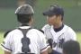 【茨城】稀勢の里が優勝したから霞ヶ浦高校野球部の甲子園初出場の歴史を振り返ろう