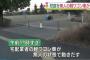 無人の軽ワゴン車が小学校の校庭を暴走 東京・多摩