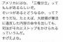 【！？】Twitter民「アメリカには三権分立ってもんがあるらしい」ワロタｗｗｗｗｗ