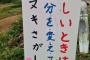 【画像】苦しいとき、気分を変えて…