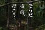 彡(ﾟ)(ﾟ)「せや、樹海で自殺したろ！」