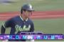 山田哲人(5月) .300(20-6) 2本 OPS.991