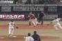 【GIF】昨日のヤク藤井のバント処理ｗｗｗｗｗｗｗｗｗｗ