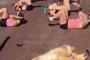 犬も夏に向けてダイエット？女性グループに混ざって腹筋エクササイズをするワンちゃんをご覧くださいｗｗｗｗｗ