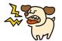 障害者差別？「犬は絶対ダメ」盲導犬利用者の6割が、入店拒否などの差別経験