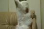 【再掲】 直立不動で祈る（？）猫、寝てる猫