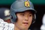 【悲報】山本武白志(19)、プロで全く通用しない