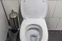 【悲報】ニートワイ、トイレを詰まらせてしまい冷や汗が止まらない・・・・・・