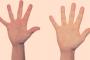 私の子を何度も積み木で殴ってきて「やめて」と言ってもやめない子がいたので…